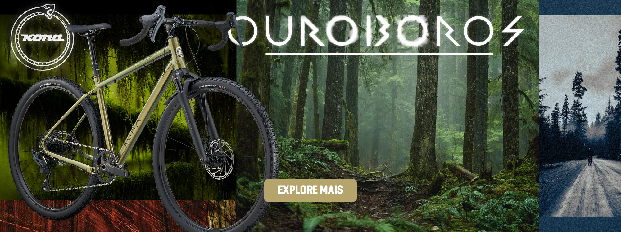 custom-slideshow-image-desktop-block_6Wn9Cy